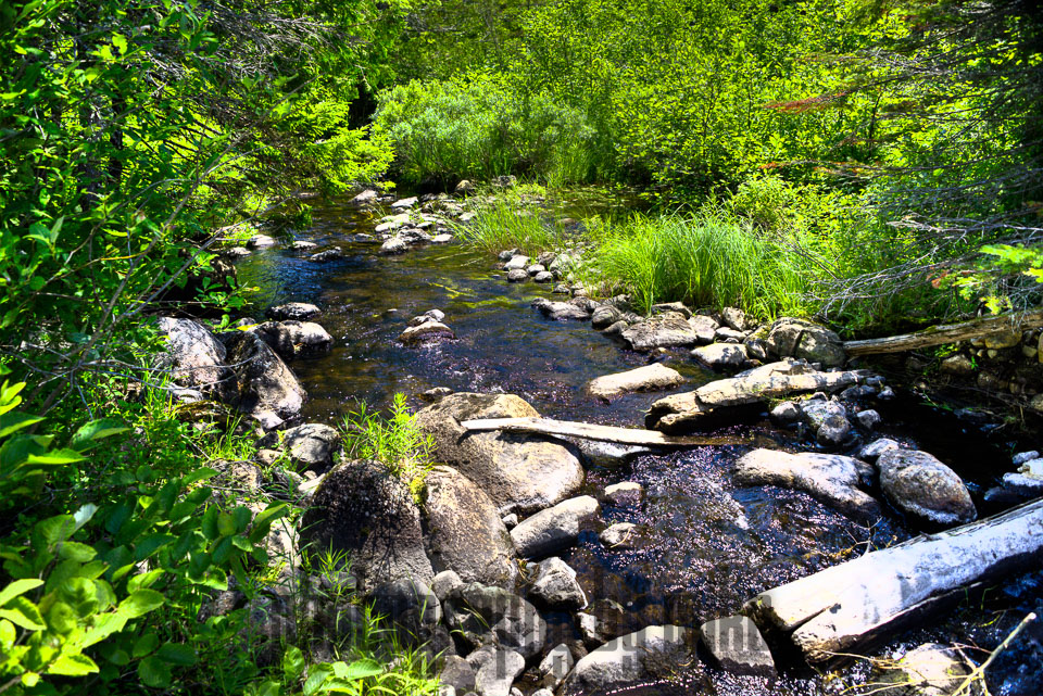 20150716-Katahdin_Woods_Waters-275_6_7_8_9.jpg