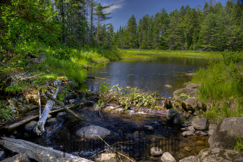 20150716-Katahdin_Woods_Waters-285_6_7_8_9.jpg