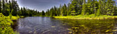 20150716-Katahdin_Woods_Waters-176_77_78_79_80-Edit.jpg