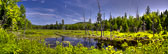 20150716-Katahdin_Woods_Waters-204_5_6_7_8-Edit.jpg