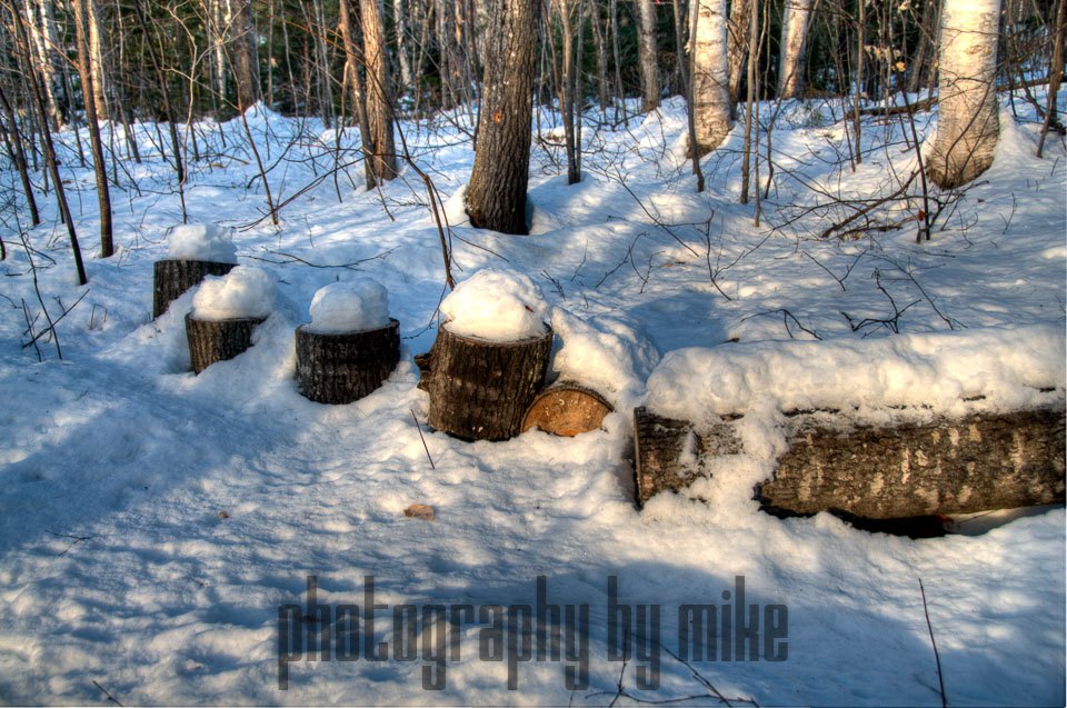 20121223-snowshow-046_47_48_49_50-Edit.jpg