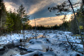 20121223-snowshow-051_2_3_4_5-Edit.jpg