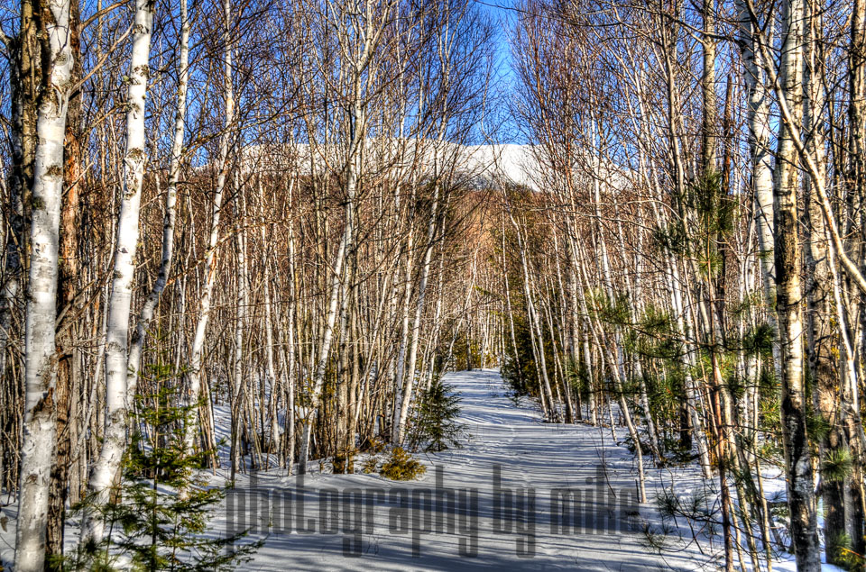 20130111-snowshoe-062_3_4_5_6-Edit.jpg