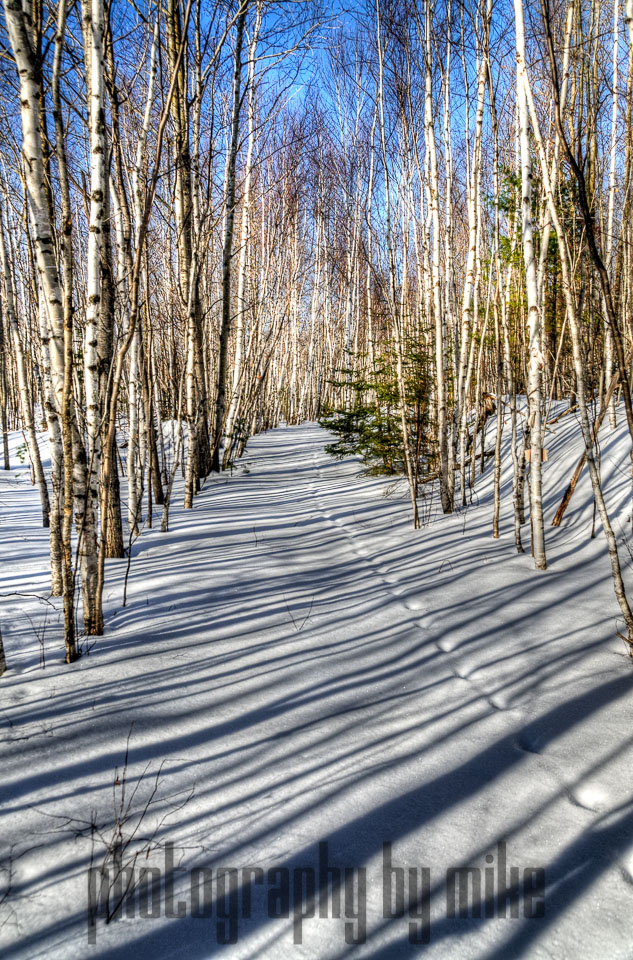 20130111-snowshoe-067_68_69_70_71-Edit.jpg