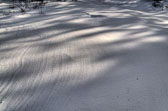 20130128-snowshoe-046_47_48_49_50-Edit.jpg