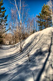 20140129-foss_knowlton-017_18_19_20_21-Edit.jpg