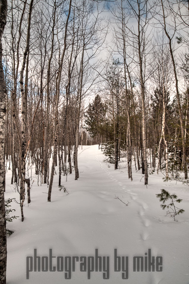 20140207-snowshoe-011_2_3_4_5-Edit.jpg