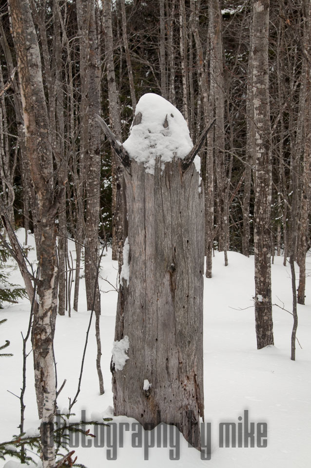 20140207-snowshoe-016-Edit.jpg