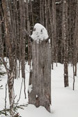 20140207-snowshoe-016-Edit.jpg