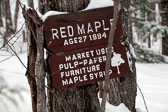 20140219-snowshoe-014-Edit.jpg