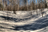 20140306-snowshoe-025And8more-Edit.jpg