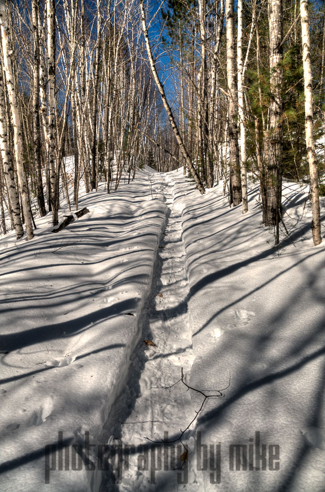 20140318-snowshoe-002_3_4_5_6-Edit.jpg