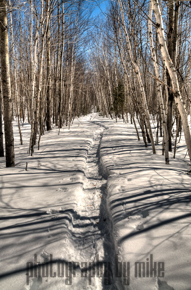 20140318-snowshoe-042_3_4_5_6-Edit.jpg