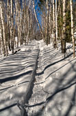 20140318-snowshoe-002_3_4_5_6-Edit.jpg