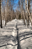 20140318-snowshoe-042_3_4_5_6-Edit.jpg