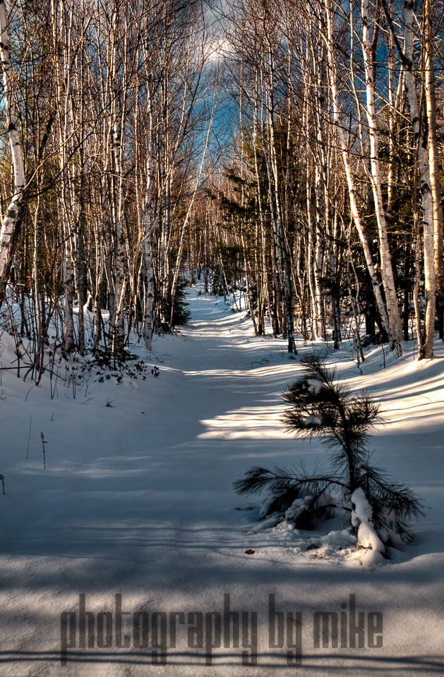 20141205-blueberry_ledges-006_07_08_09_10-Edit.jpg