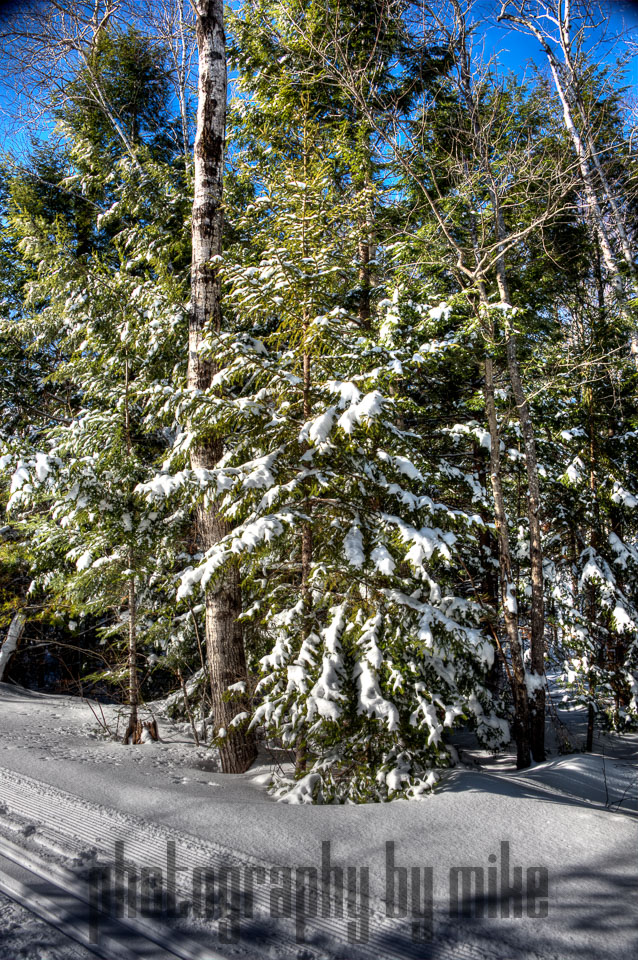 20150129-snowshoe_baithole-017_18_19_20_21-Edit.jpg