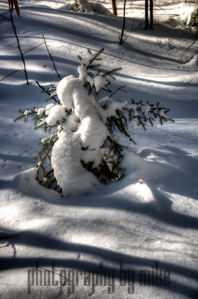 20150129-snowshoe_baithole-042_3_4_5_6-Edit.jpg