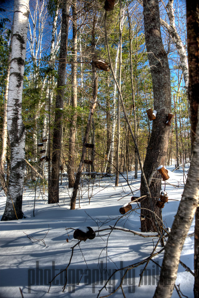 20150129-snowshoe_baithole-067_68_69_70_71-Edit.jpg