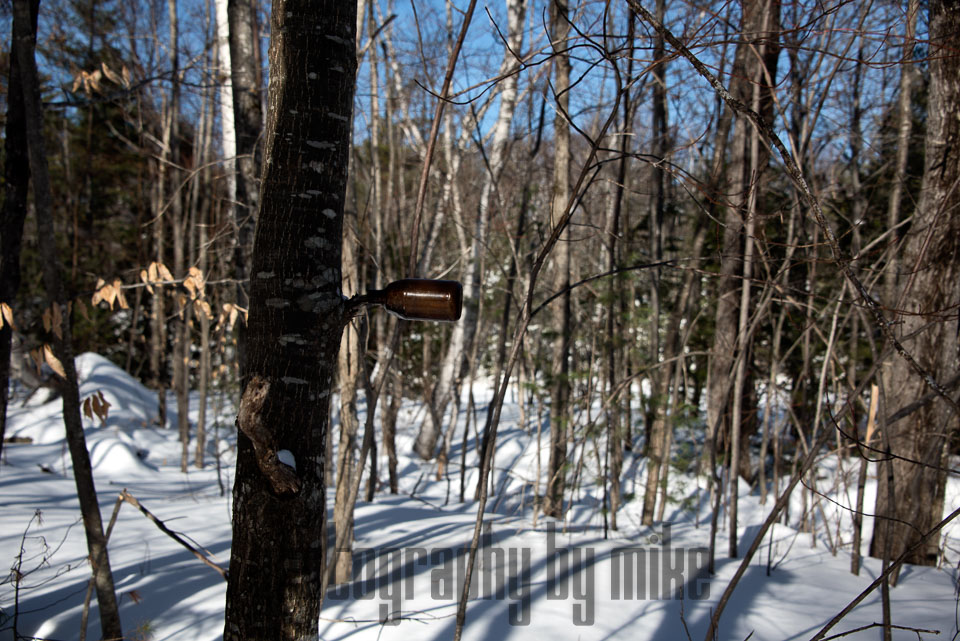 20150129-snowshoe_baithole-085-Edit.jpg