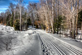 20150129-snowshoe_baithole-012_3_4_5_6-Edit.jpg