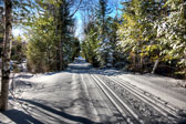 20150129-snowshoe_baithole-022_3_4_5_6-Edit.jpg