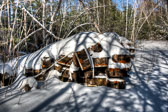 20150129-snowshoe_baithole-091_2_3_4_5-Edit.jpg