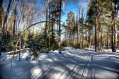 20150129-snowshoe_baithole-132_3_4_5_6-Edit.jpg