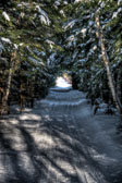 20150129-snowshoe_baithole-152_3_4_5_6-Edit.jpg