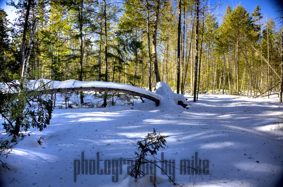 20150218-snowshoe-026_27_28_29_30-Edit.jpg