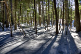 20150218-snowshoe-001_2_3_4_5-Edit.jpg