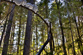 20150218-snowshoe-011_2_3_4_5-Edit.jpg