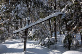 20161231-snowshoe-015-Edit.jpg