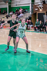 Lady Wolverines Basketball