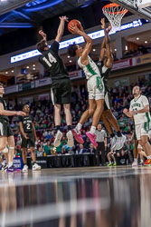 Wolverines Basketball