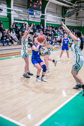 Lady Minutemen Basketball