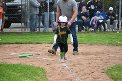 2 - Autumn Achorn - Brown