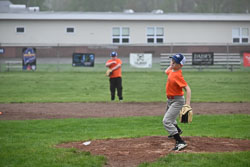 Orioles