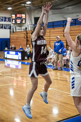 14 - Brynn York