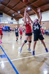 4 - Elaina Liba
