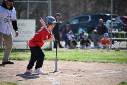 14 - Addison Dow