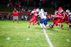 33 - Anthony Sanders