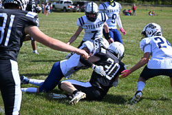 33 - Anthony Sanders