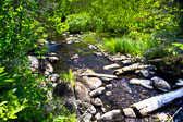 Katahdin Woods and Waters - 7/16/2015