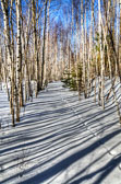 Baxter State Park - 1/11/2013