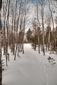 Baxter State Park - 2/7/14