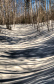 Baxter State Park - 3/6/2014